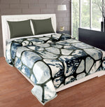 Load image into Gallery viewer, Pashmina AC